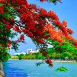 Điềm báo khi mơ thấy người yêu cũ: Giấc mơ tiết lộ điều sắp xảy ra với bạn 12